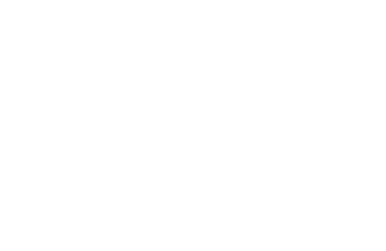 fis_Logo